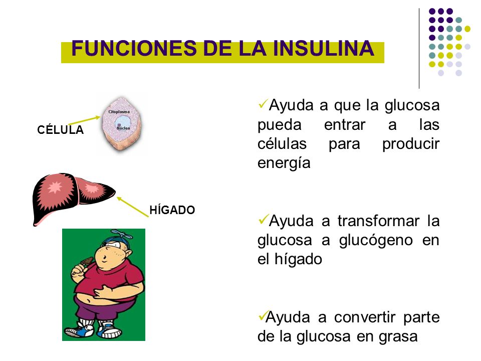 Funcion de la glucosa